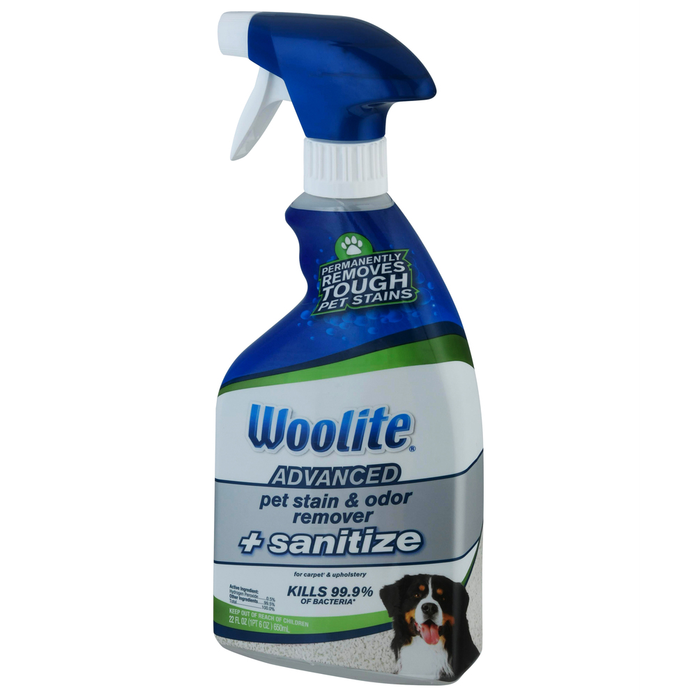 Woolite stain remover on sale