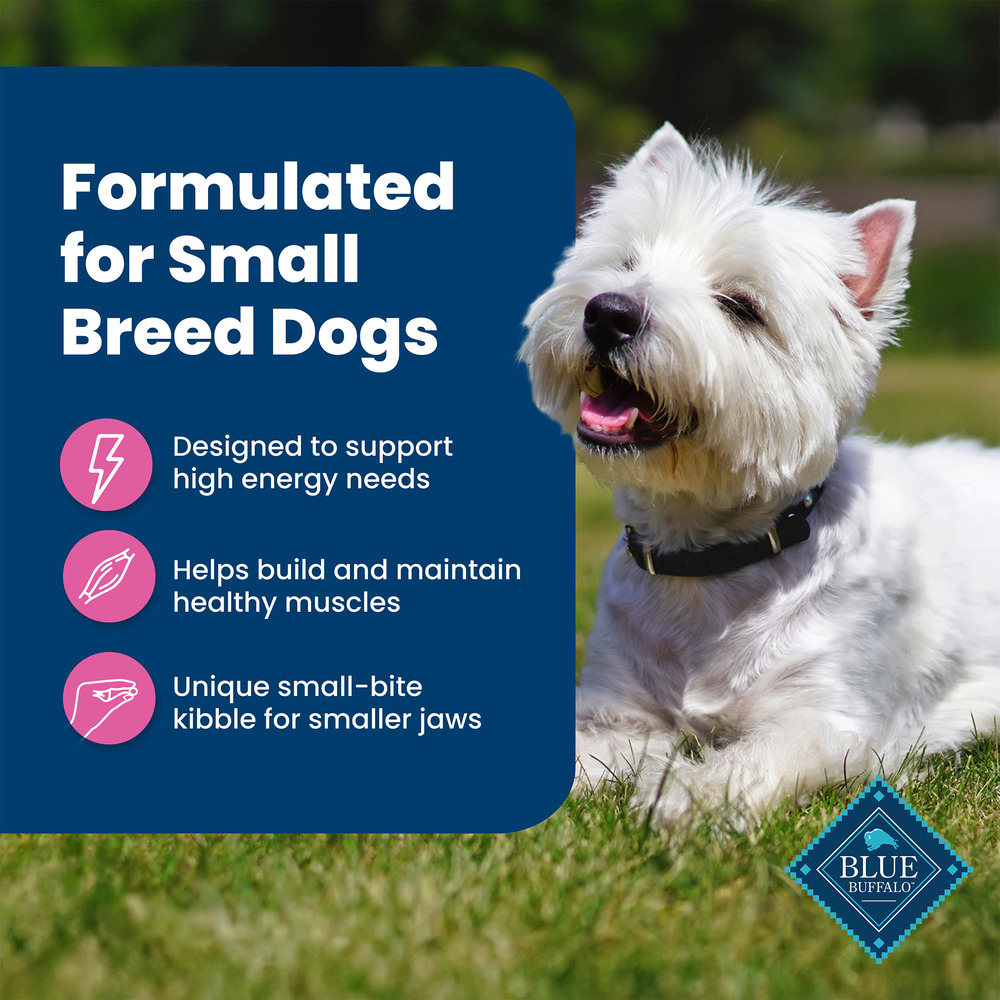 Blue Buffalo Life Protection Formula Adult Small Breed Dry Dog Food Supports High Energy Needs Made with Natural Ingredients Chicken Brown Rice Recipe 15 lb. Bag
