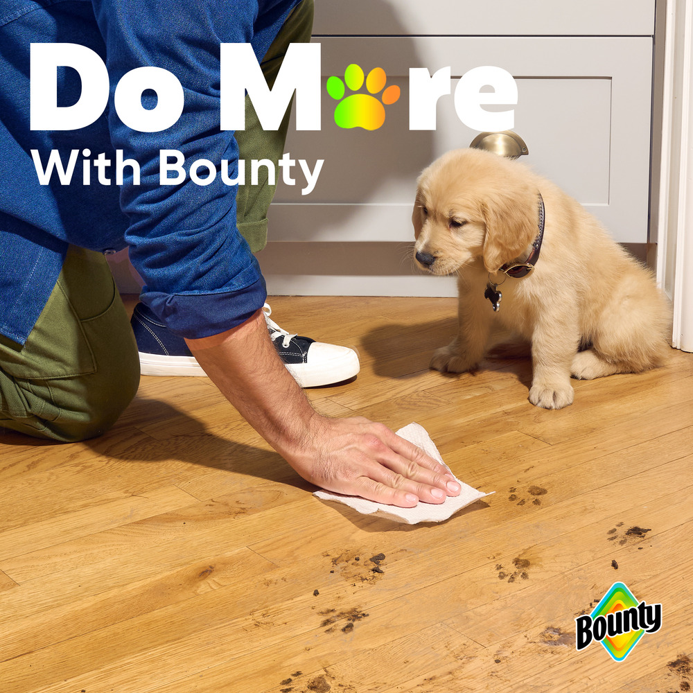 Bounty Paper Towels Printable Coupons