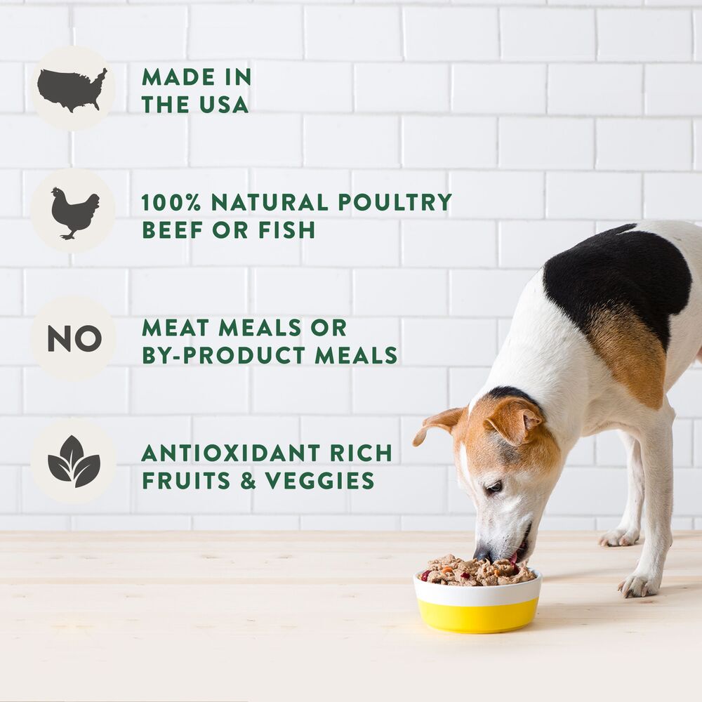 Freshpet Treats For Dogs Chicken Recipe