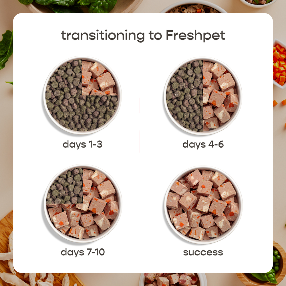 Freshpet Dog Food Chicken Turkey Recipe Small Dog