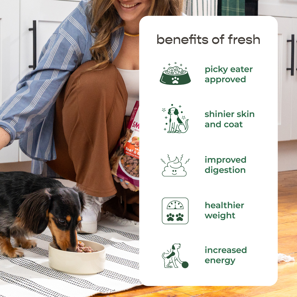 Freshpet Dog Food Chicken Turkey Recipe Small Dog