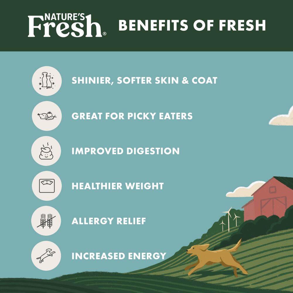 Freshpet dog food grain free outlet