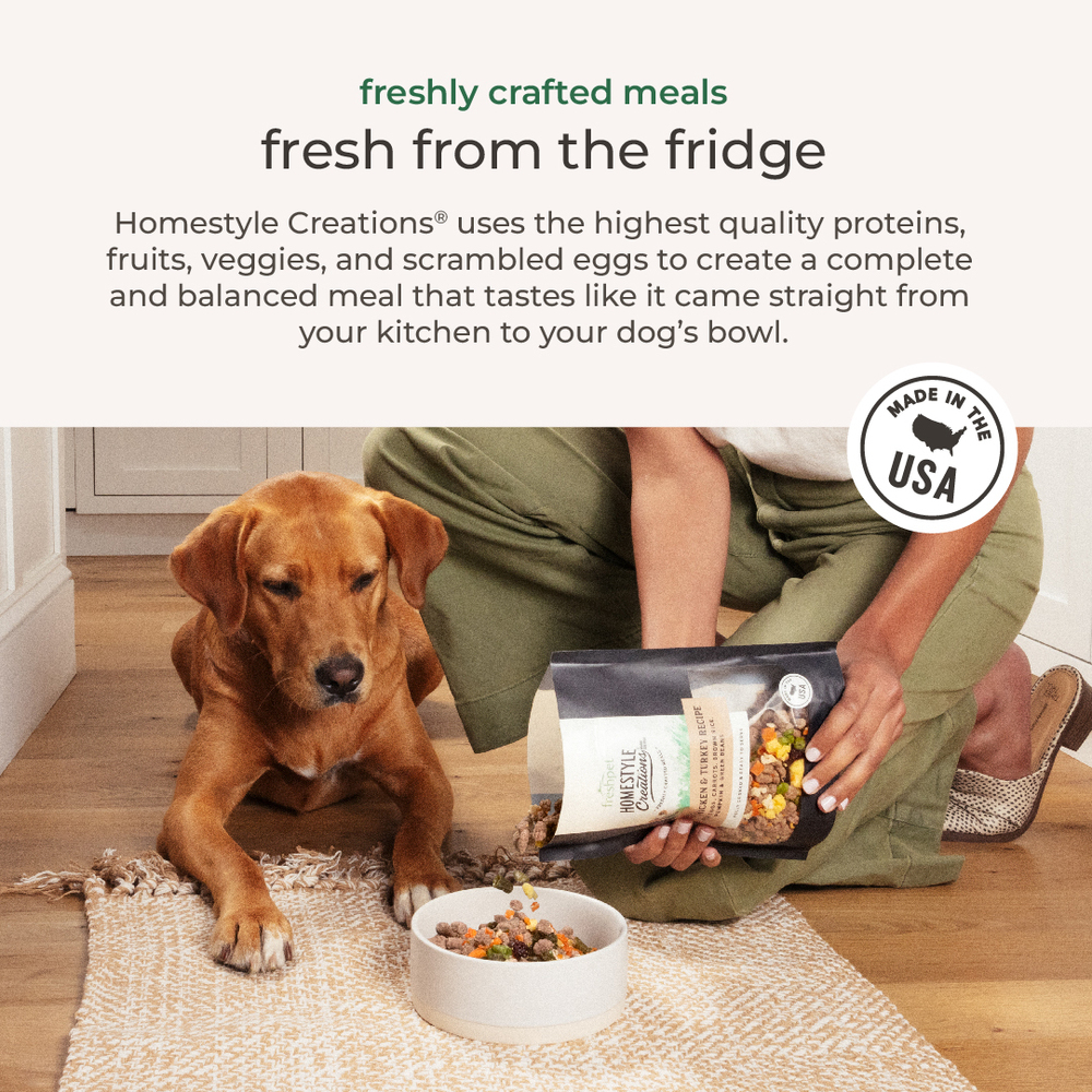 Freshpet Homestyle Creations Chicken Turkey Recipe Wet Dog Food 1 lb
