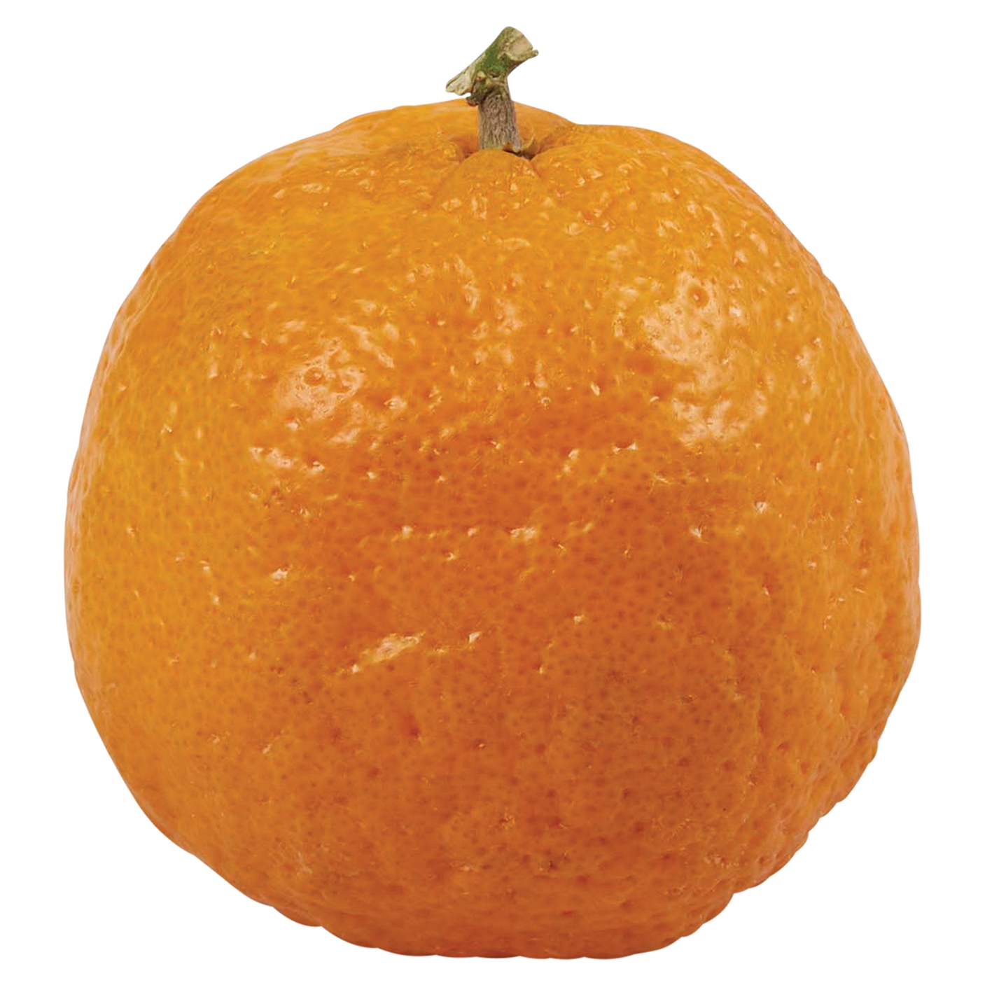 Bulk Gold Nugget Mandarins