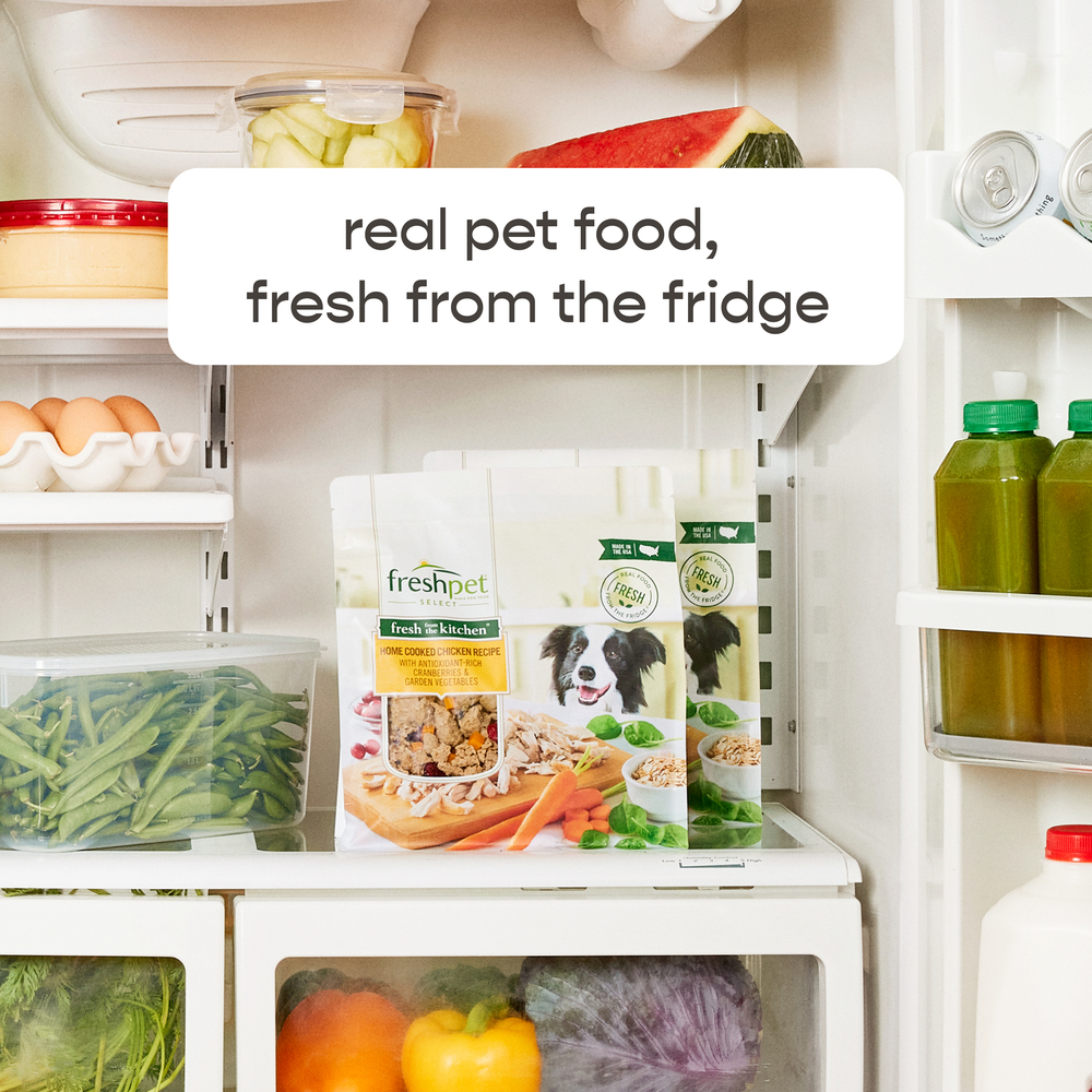 Freshpet chicken roll online