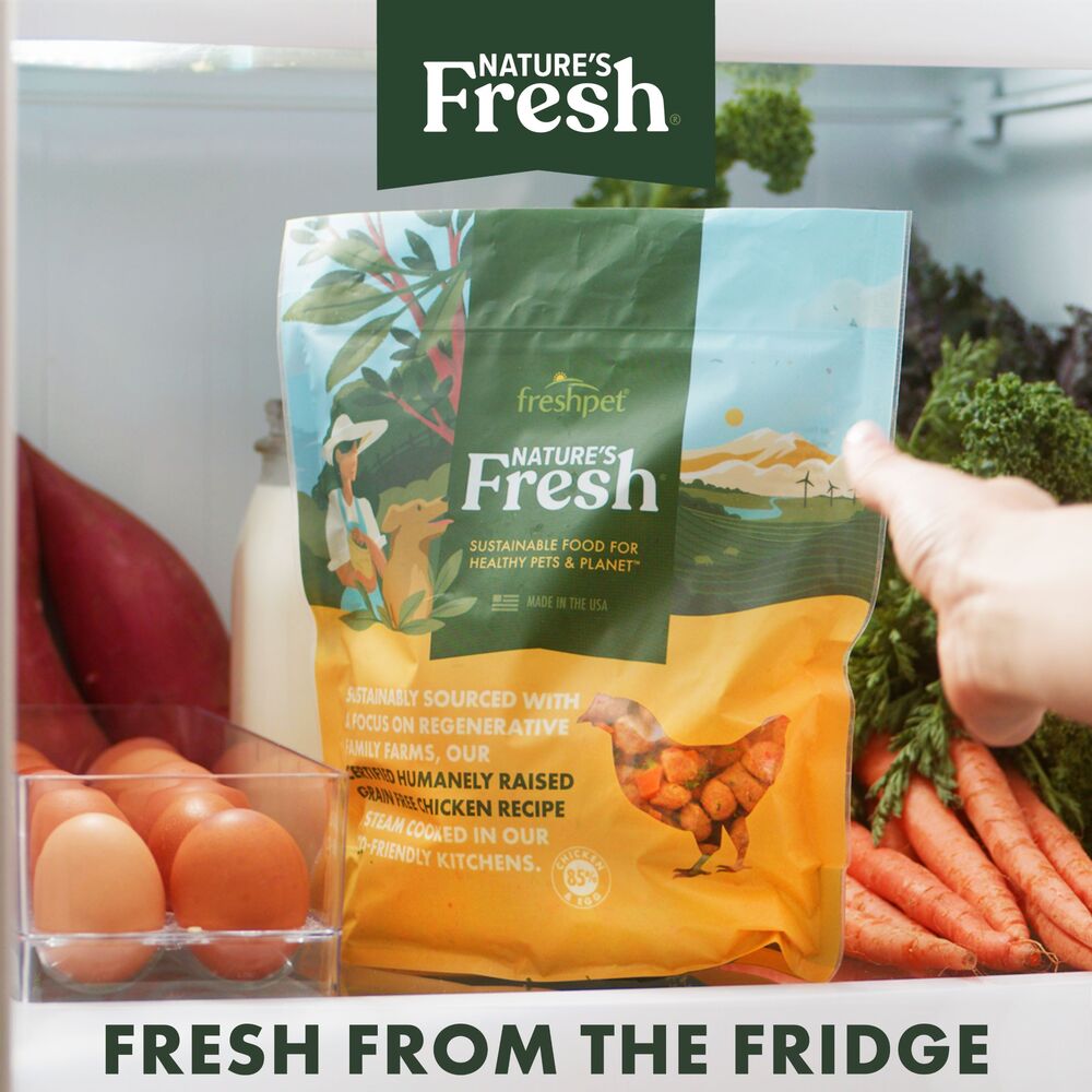 Freshpet Dog Food Grass Fed Beef Brown Rice Recipe