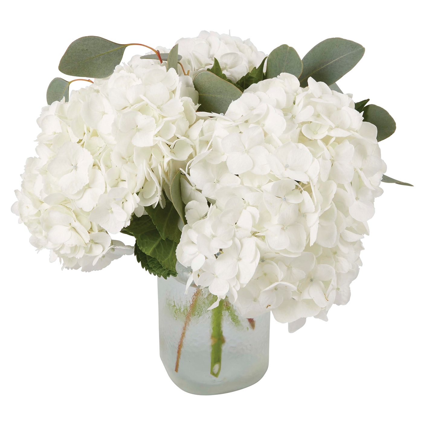 超特価激安の商品をすべて Hydrangea Vase テープ・マスキングテープ