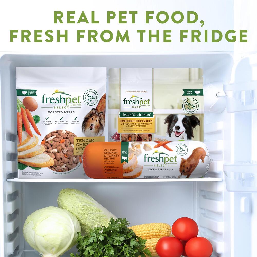 Dog food in the fridge top