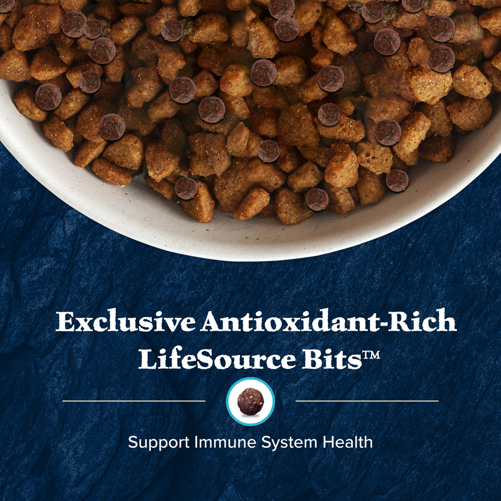 Blue wilderness natural evolutionary diet with chicken hot sale