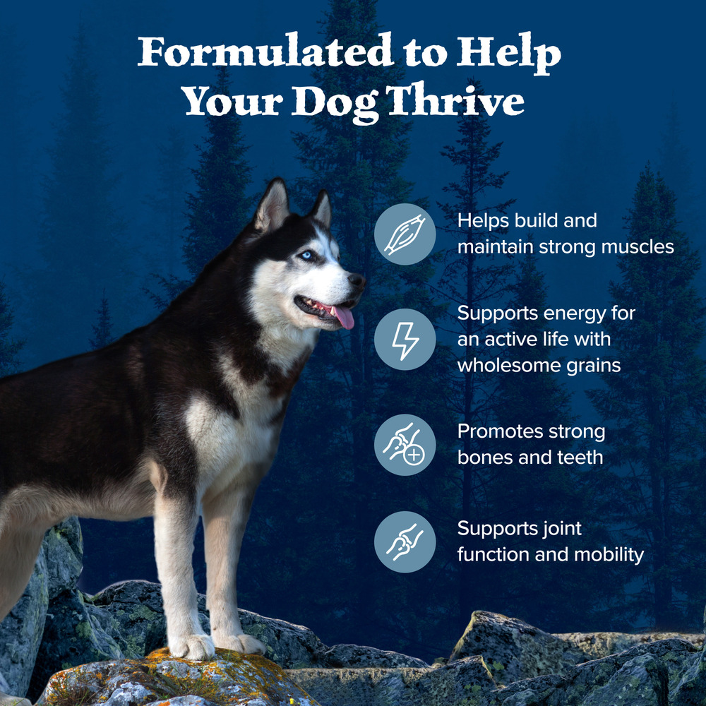 Blue Buffalo Blue Wilderness Food for Dogs Natural with Chicken Nature s Evolutionary Diet Adult