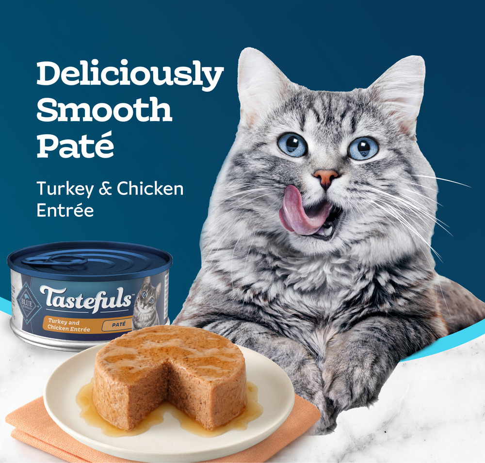Blue Buffalo BLUE Tastefuls Tastefuls Wet Cat Food Pate Made with Natural Ingredients Turkey and Chicken Entree 5.5 oz. Can