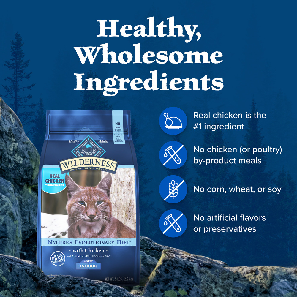 Cat food wilderness best sale