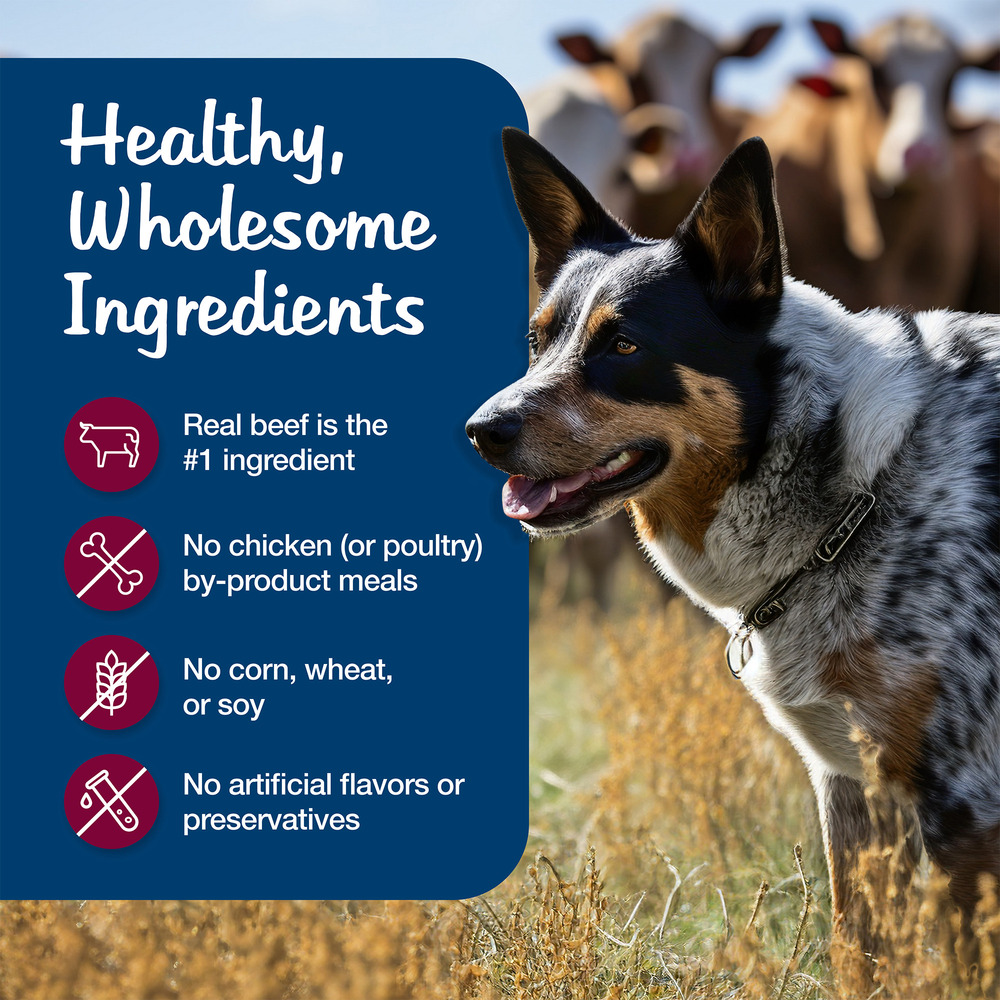 Blue Buffalo BLUE Blue s Stew Natural Adult Wet Dog Food Beef Stew