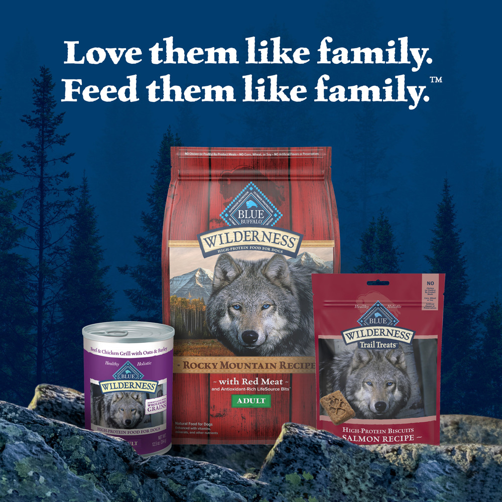 Blue Buffalo BLUE Wilderness Wilderness Trail Treats High Protein Grain Free Crunchy Dog Treats Biscuits Salmon Recipe 10 oz Bag