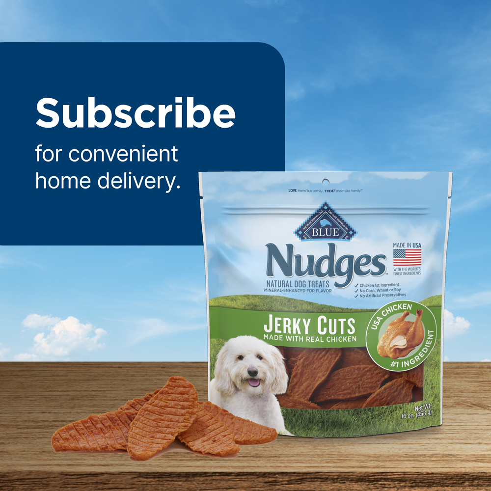 Nudges jerky bites cheap