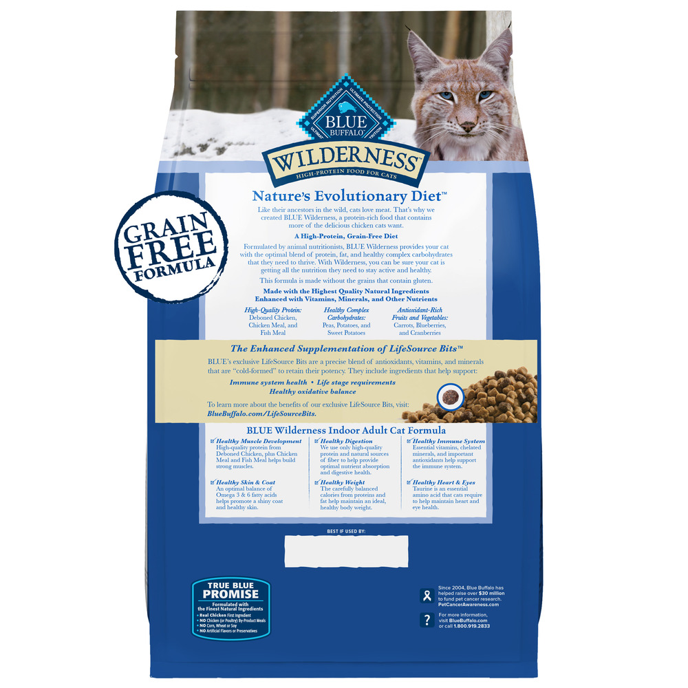 High protein cat food for older cats clearance