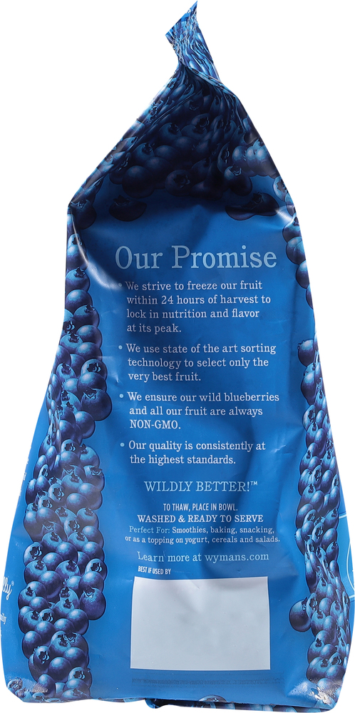 Wyman's Wild Blueberries