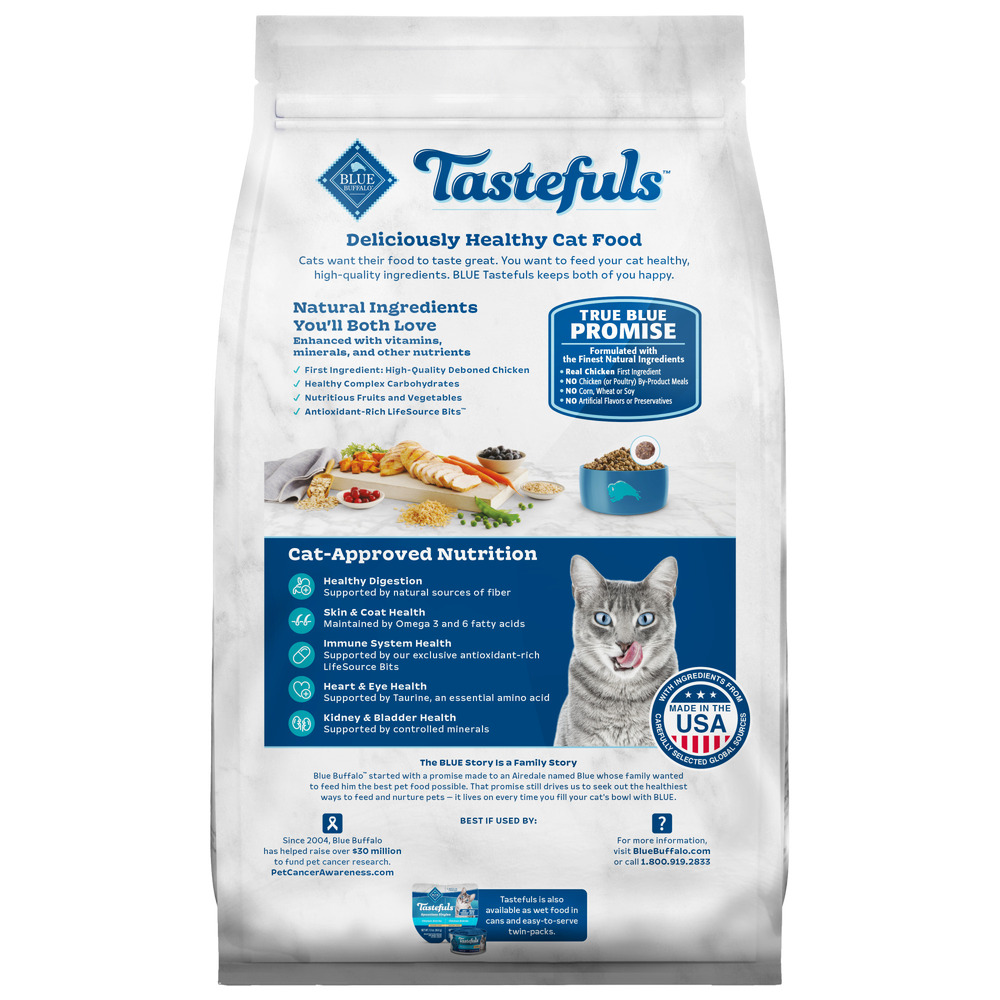 Healthiest cat food for fashion indoor cats