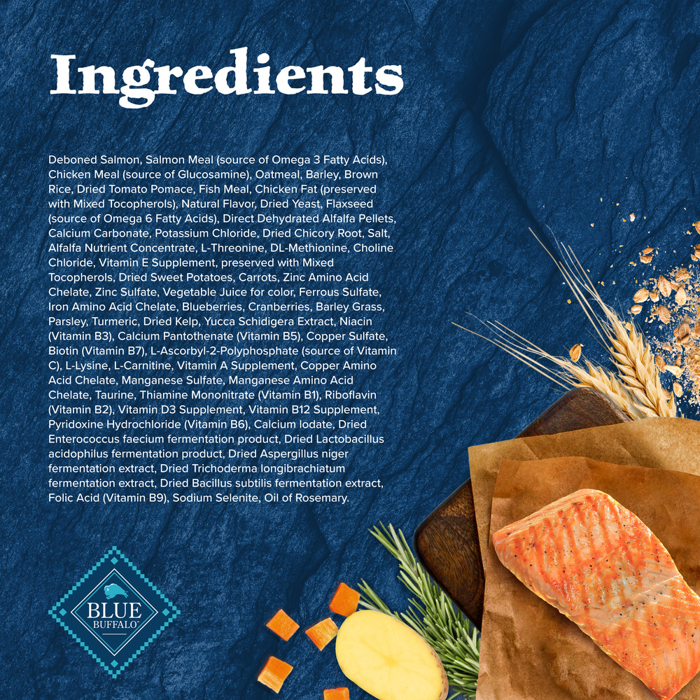 Blue Buffalo Wilderness Adult High-Protein Dry Dog Food Natural Salmon with Wholesome Grains-Lifestyle