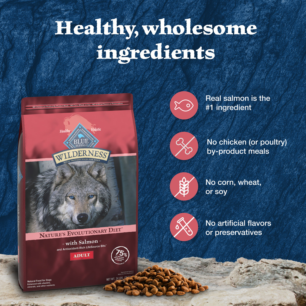 Blue Buffalo Wilderness Adult High-Protein Dry Dog Food Natural Salmon with Wholesome Grains-Front-Right-Elevated