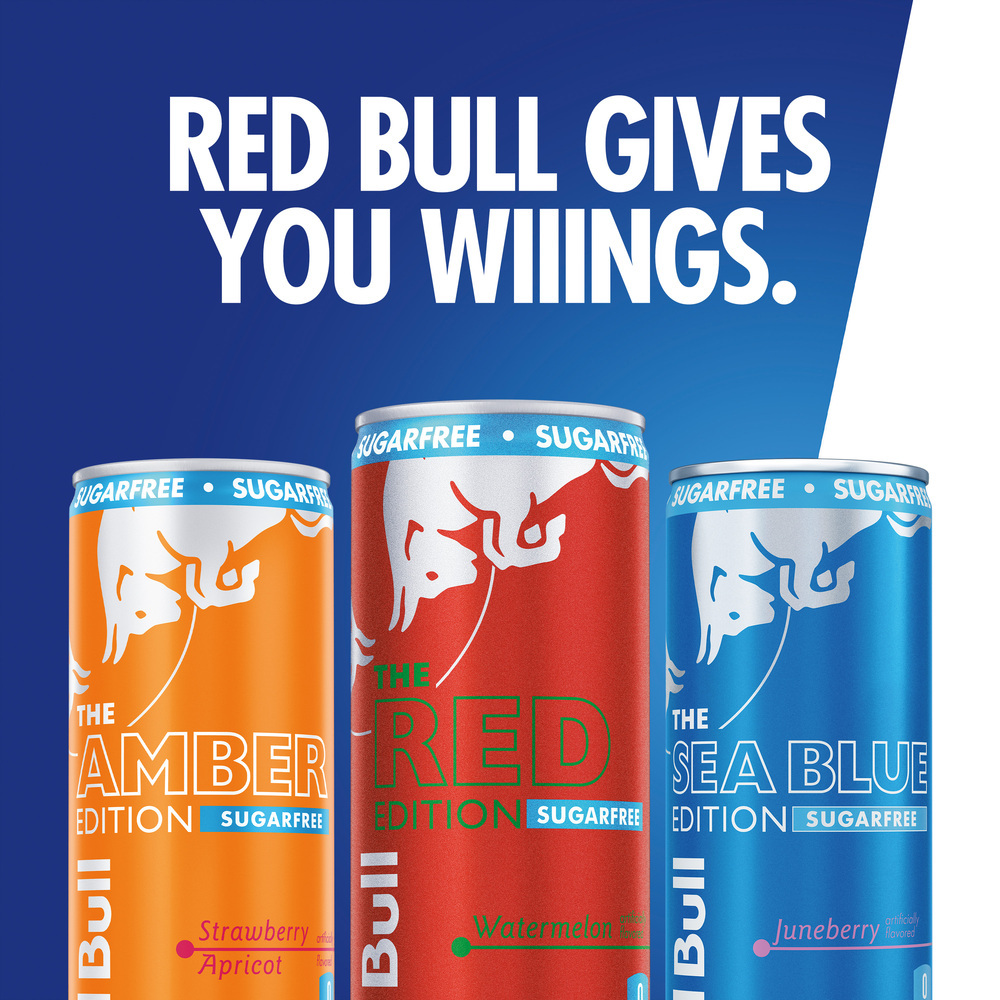 ふ*ん様 Red Bull RACING 500ml Ocean Blue 水筒