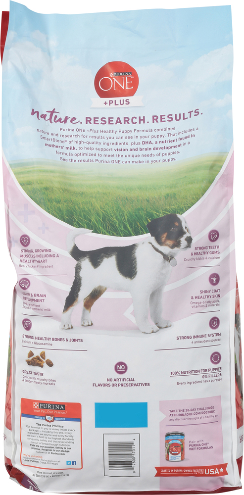 Purina One Plus Dog Food Healthy Puppy Formula