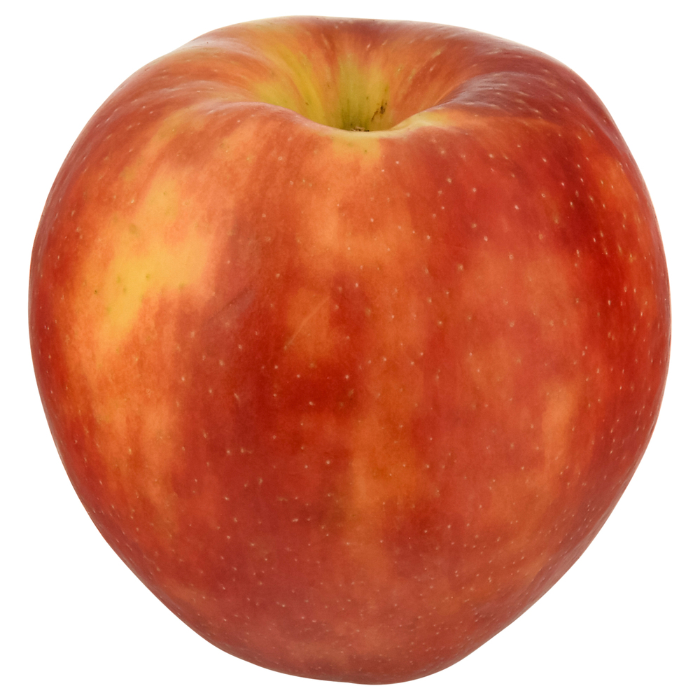 金利0%の分割払い - Apple（日本）