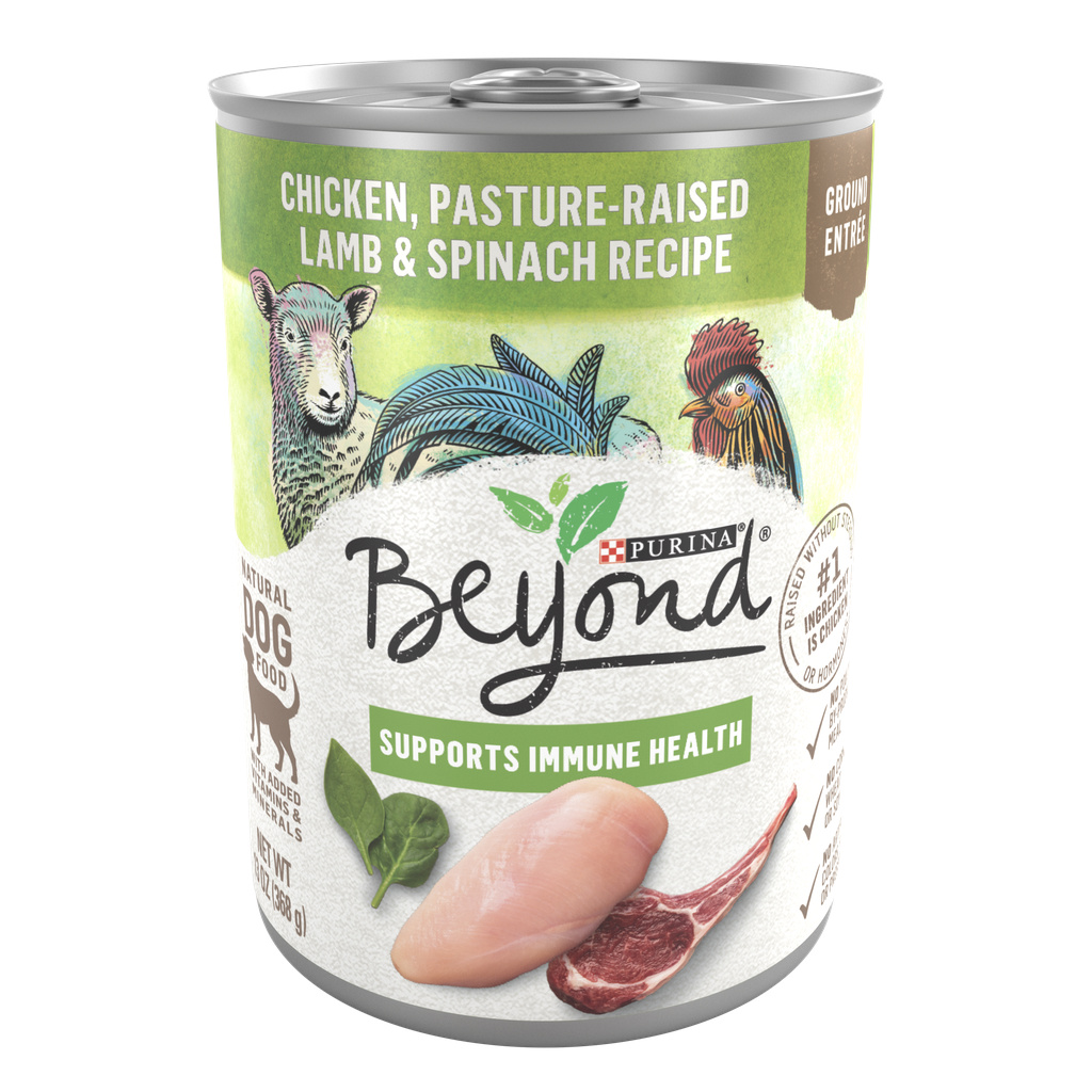 Purina beyond dog 2025