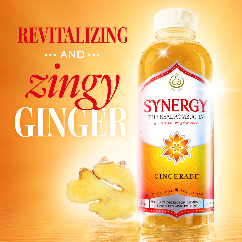 GT's Synergy Kombucha, Gingerade