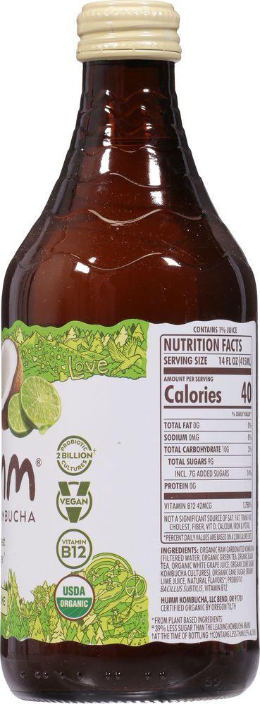 Humm Kombucha, Probiotic, Coconut Lime