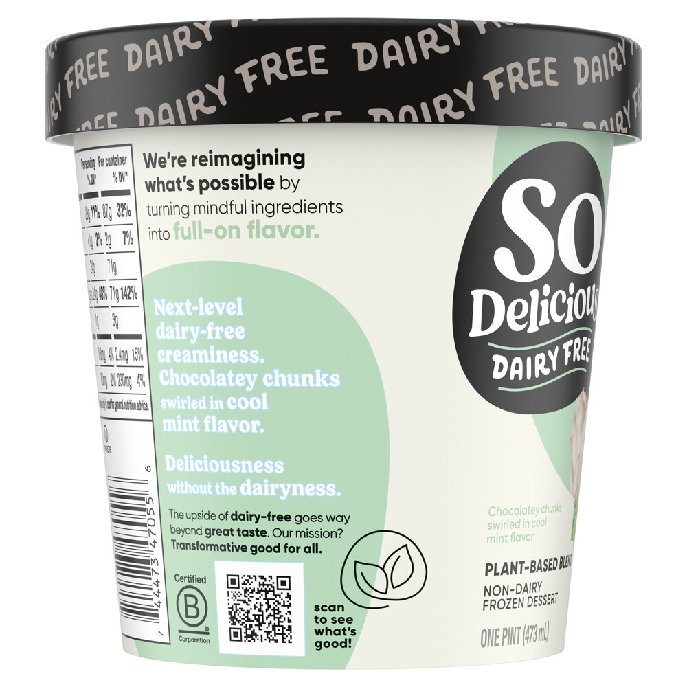 So Delicious Dairy Free Non-Dairy Coconutmilk Mint Chip Frozen Dessert