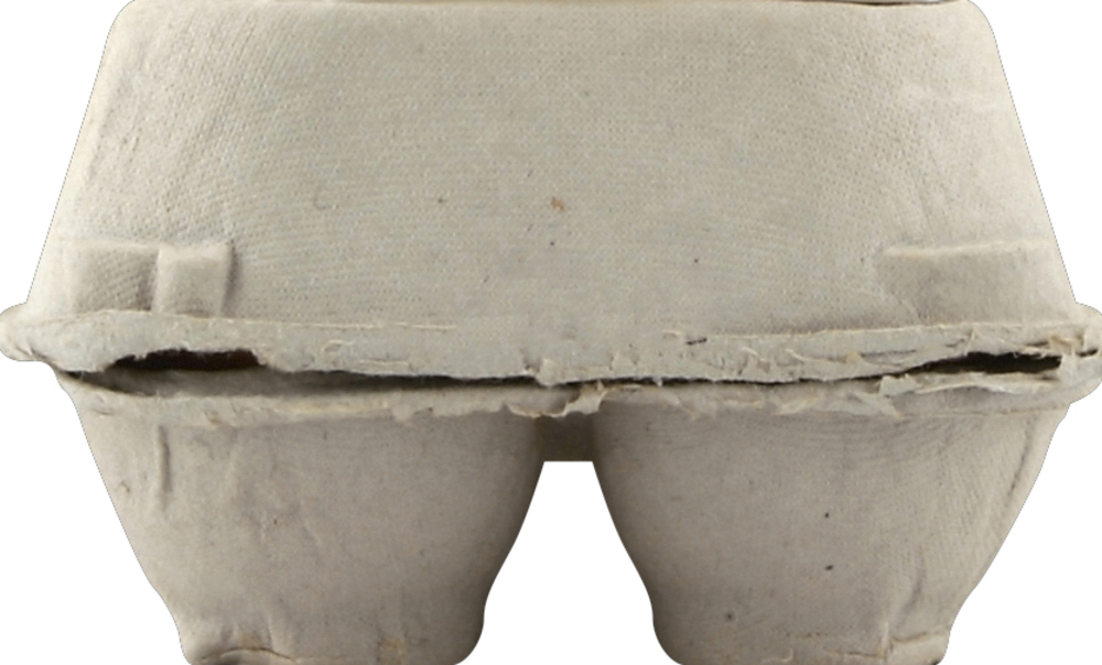 Super Egg Eggs, Large, Grade AA, Local Sonoma County