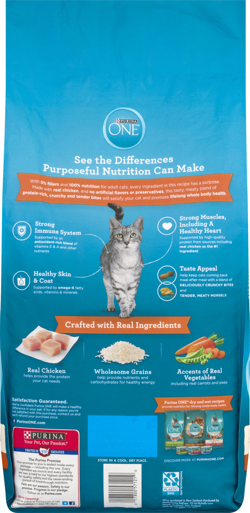 purina one serving size