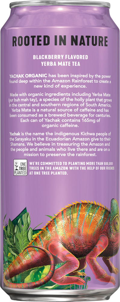 Yachak Energy Drink, Organic, Blackberry, Yerba Mate