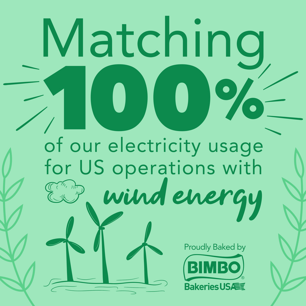 Thomas' Bagel Thins Plain Presliced Bagel Thins, 8 count, 13 oz